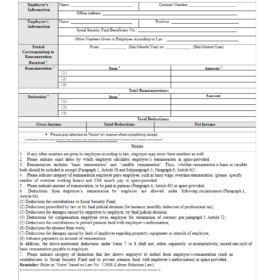 Additional Notes Payslip Example