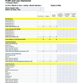 Business Profit and Loss Statement Template