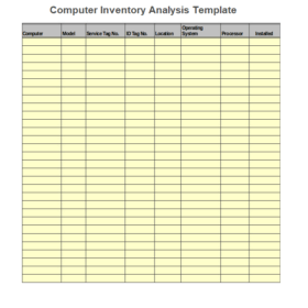 Computer Inventory Analysis Template