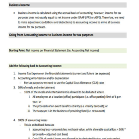 Consulting Monthly Income Statement Template