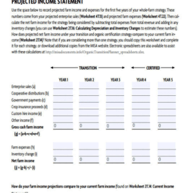 Income Statement Form