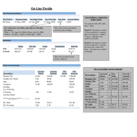 Online Payslip Format