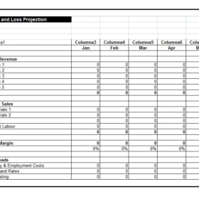 Profit and Loss Photography Statement Template