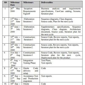 Project Schedule Format