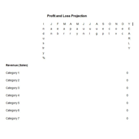 Sample Profit and Loss Statement Template