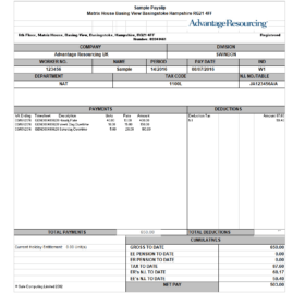 Simple Payslip Template