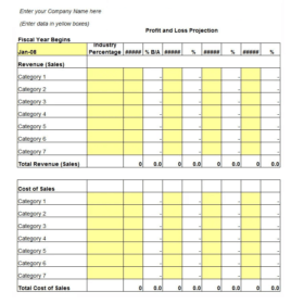 Simple Profit and Loss Statement Template