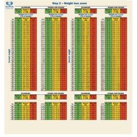 BMI Personal Weight Loss Chart Template