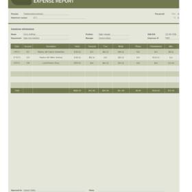 Employee Expense Report Template Free Download