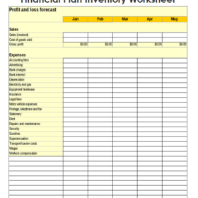 Financial Plan Inventory Worksheet Template