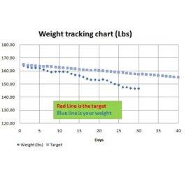 Personal Weight Loss Chart Template Excel