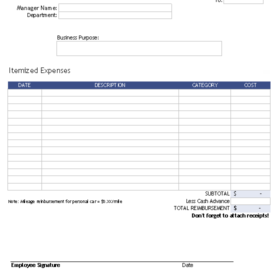 Professional Expense Reimbursement Form Template