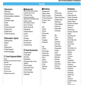 Professional Travel Checklist Template