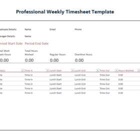 Professional Weekly Timesheet Template