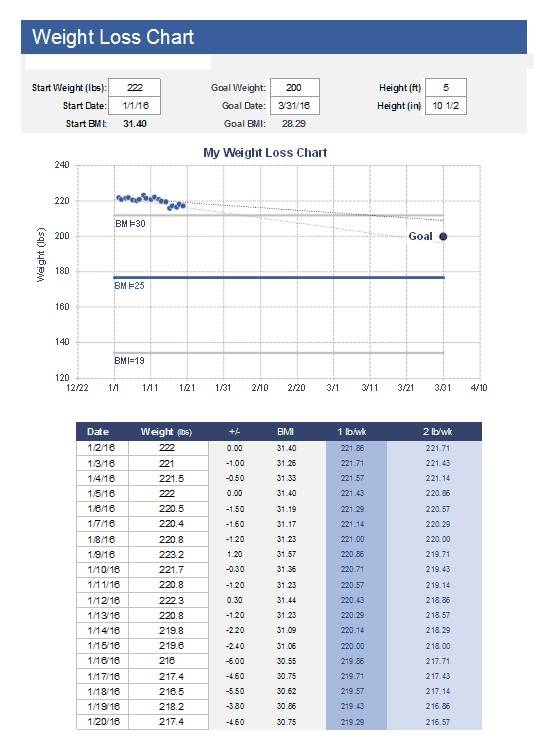 Sample Personal Weight Loss Chart Template