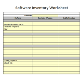 Software Inventory Worksheet Template