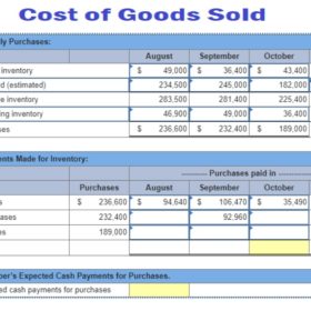 Professional Cost of Goods Sold Statement Template