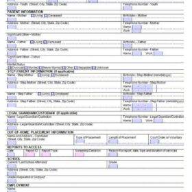 Court Face Sheet Template